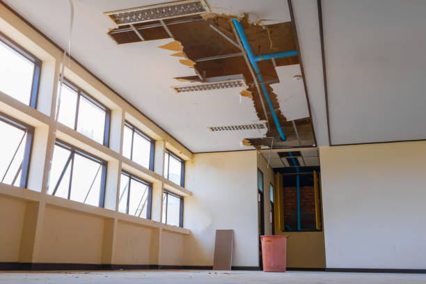 Best Water damage restoration near me  in Milaca, MN