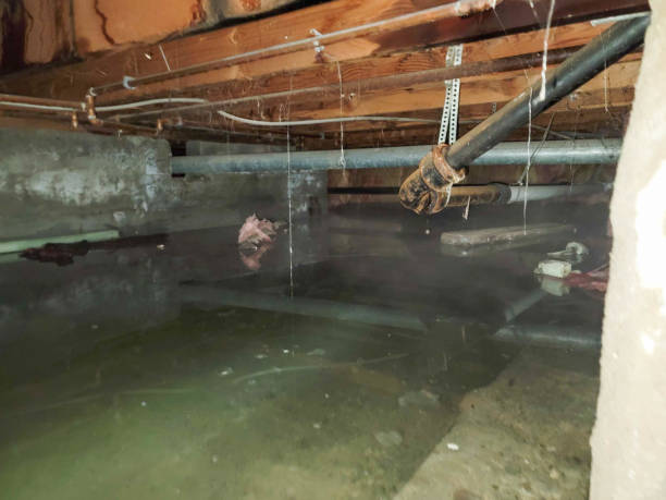 Best Local water damage restoration  in Milaca, MN