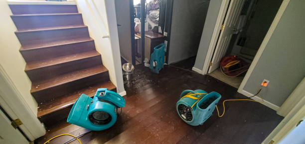 Best Carpet water damage restoration  in Milaca, MN