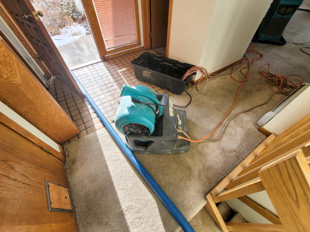 Best Commercial water damage restoration  in Milaca, MN