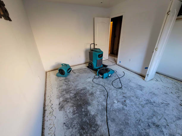 Best Water damage cleanup near me  in Milaca, MN