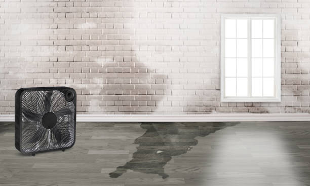 Best Fire Damage Restoration  in Milaca, MN