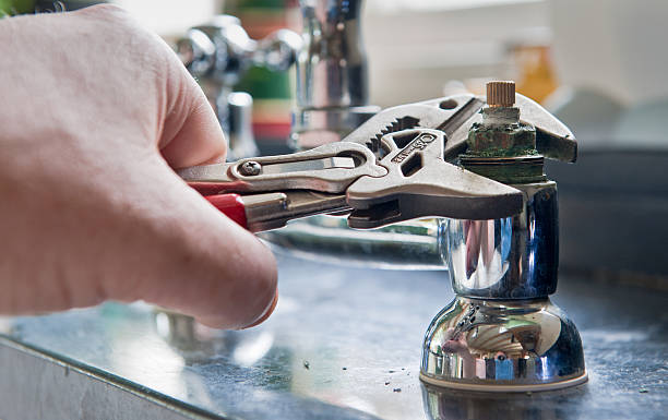 Best Professional water damage repair  in Milaca, MN
