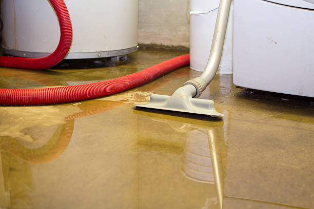 Best Water damage restoration near me  in Milaca, MN