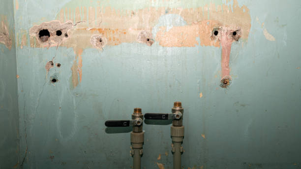 Best Sewage cleanup and water damage restoration  in Milaca, MN