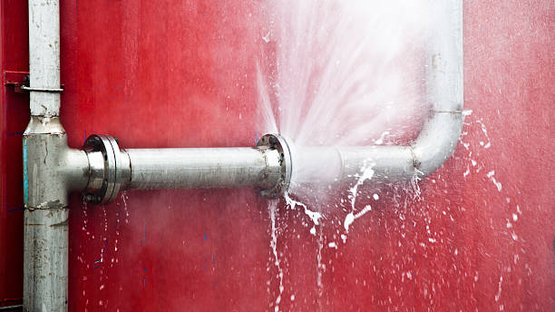 Best Water damage mitigation services  in Milaca, MN