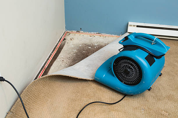 Best Water damage contractors near me  in Milaca, MN